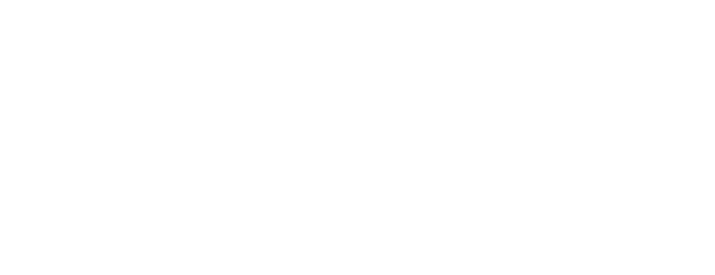 IRIS online payments